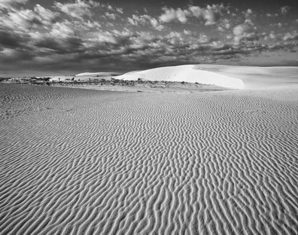 New Mexico, White Sands NM Desert landscape